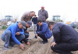 Navoi: Preparation for seed planting is under control