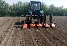 ЧИГИТ ЭКИШ ИШЛАРИ ВА АГРОТЕХНИК ТАДБИРЛАР ИНСПЕКЦИЯ НАЗОРАТИДА
