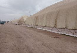 Syrdarya: storage of seed cotton accumulated for the 2024 harvest is under control