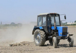 Samarkand: the quality of grain sowing in the regions is controlled