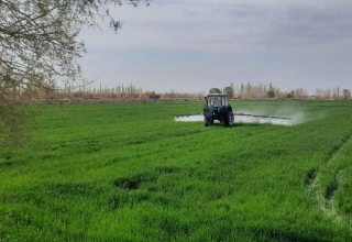 Ход химической обработки зерновых полей от болезней, вредителей и сорняков находится под контролем Инспекции.