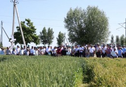 An educational-practical seminar was held in connection with the approval inspection of seed grain fields.