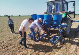 КАЧЕСТВЕННОЕ ПРОВЕДЕНИЕ АГРОТЕХНИЧЕСКИХ МЕРОПРИЯТИЙ НА РАССАДЕ НАХОДИТСЯ ПОД КОНТРОЛЕМ «УЗАГРОИНСПЕКЦИИ»
