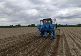 Control: agrotechnical measures in seeded areas