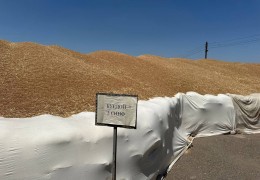 Передача зерна, полученного на открытой площадке, в закрытую емкость находится под контролем.