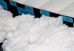 Mandatory certification of cotton fiber is being studied