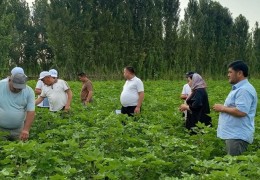 Ответственные лица предупреждены о некачественном проведении агротехнических мероприятий