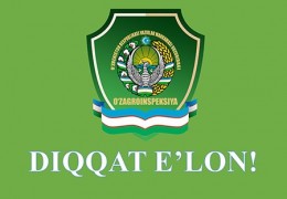 DIQQAT E'LON