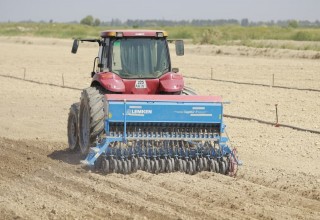 Kuzgi boshoqli don ekinlarini sifatli ekilishi  Inspeksiya nazoratida