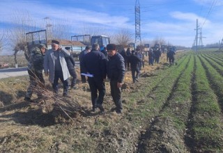 O‘zbekiston Respublikasi Prezidentining sohaga oid qabul qilingan qarorlarining ijrosi «O‘zagroinspeksiya» tomonidan nazorat qilib borilmoqda