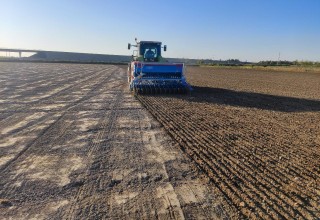 Khorezm: agrotechnical measures for planting winter wheat for next year's crop are under inspection control