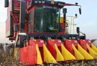 COTTON-2024: for the first time, about 1,700 cotton picking machines are expected to participate in the season